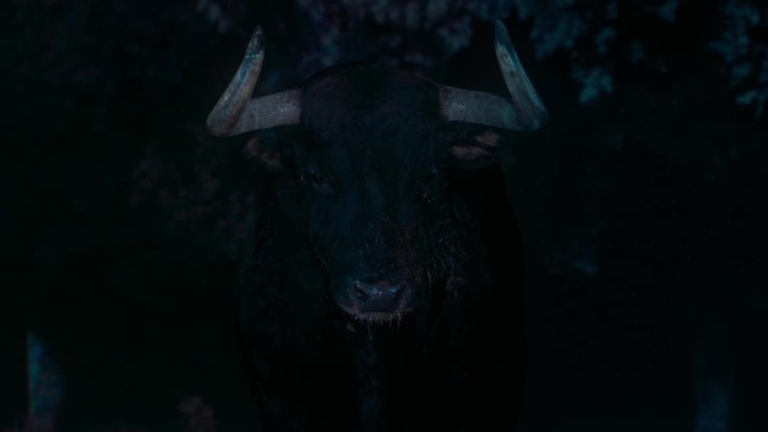 Вечори самоти backdrop 7