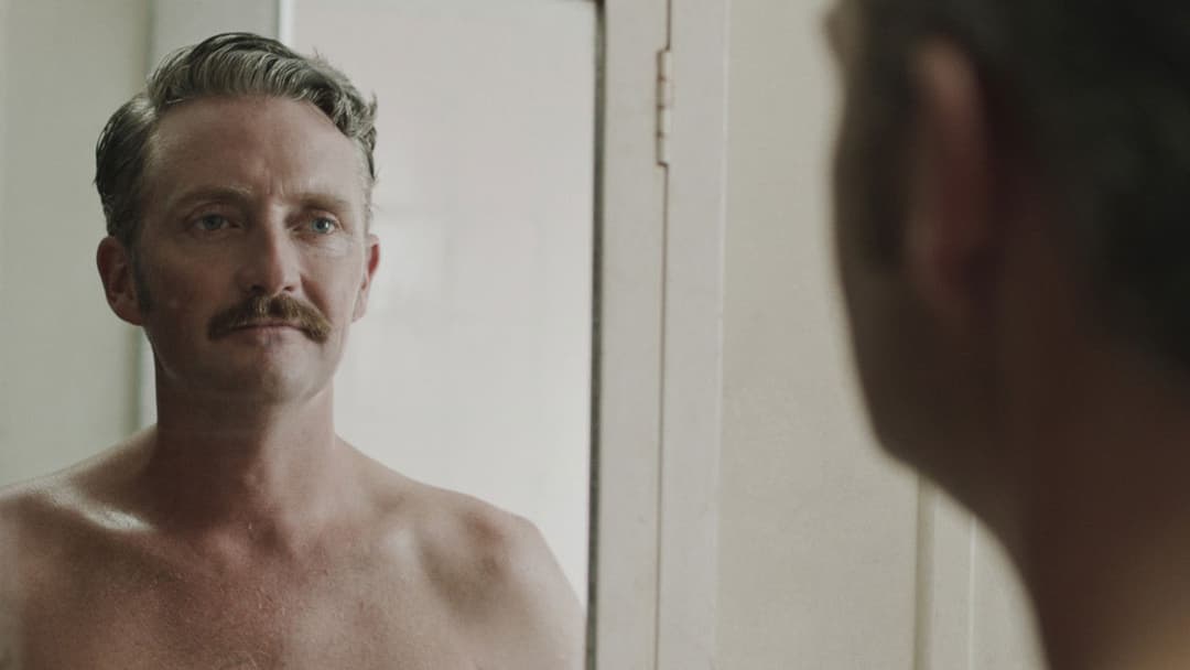 Hounds of Love backdrop 5