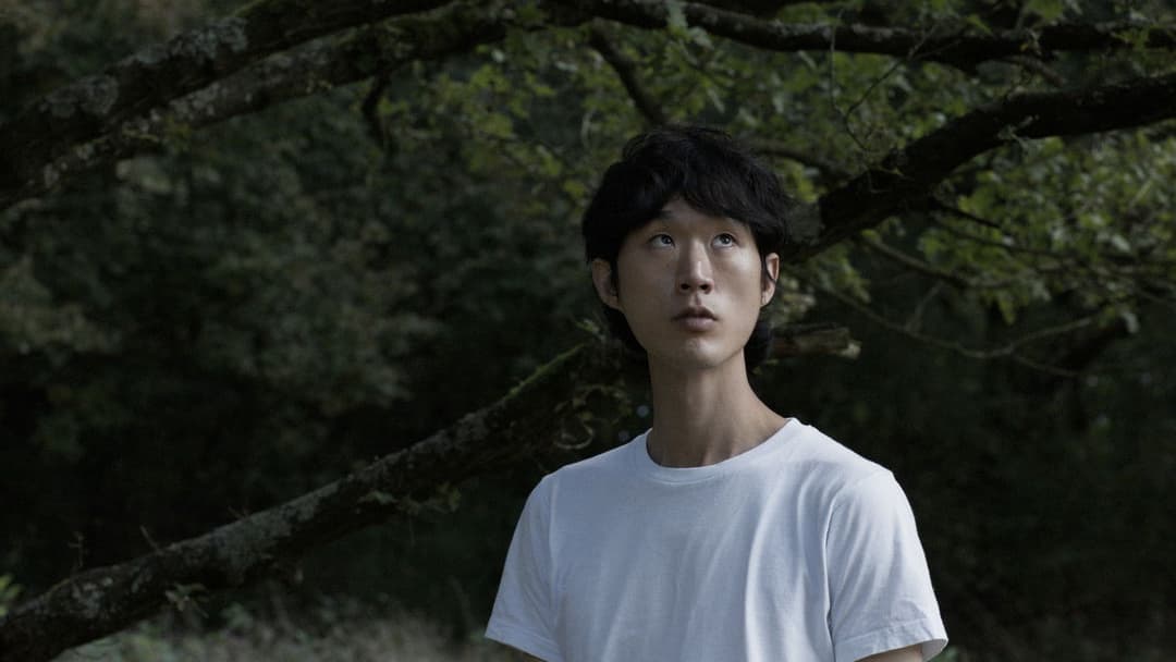 Why Hasn't Everything Disappeared Yet backdrop 2