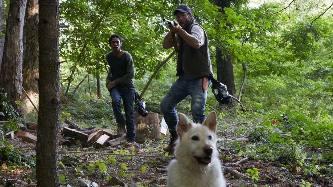 Воно приходить уночі backdrop 14