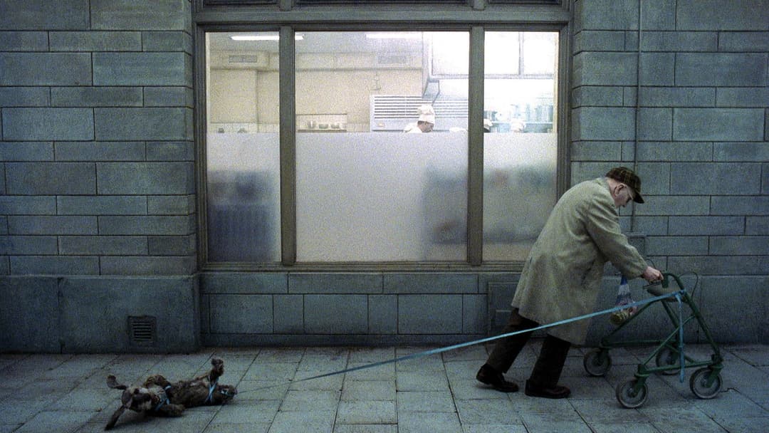 Das jüngste Gewitter backdrop 3