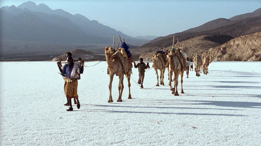 Der Fremdenlegionär backdrop 11