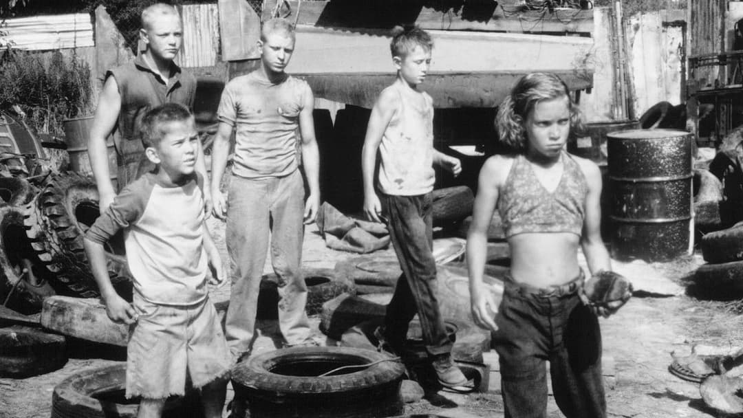 Das Baumhaus backdrop 3