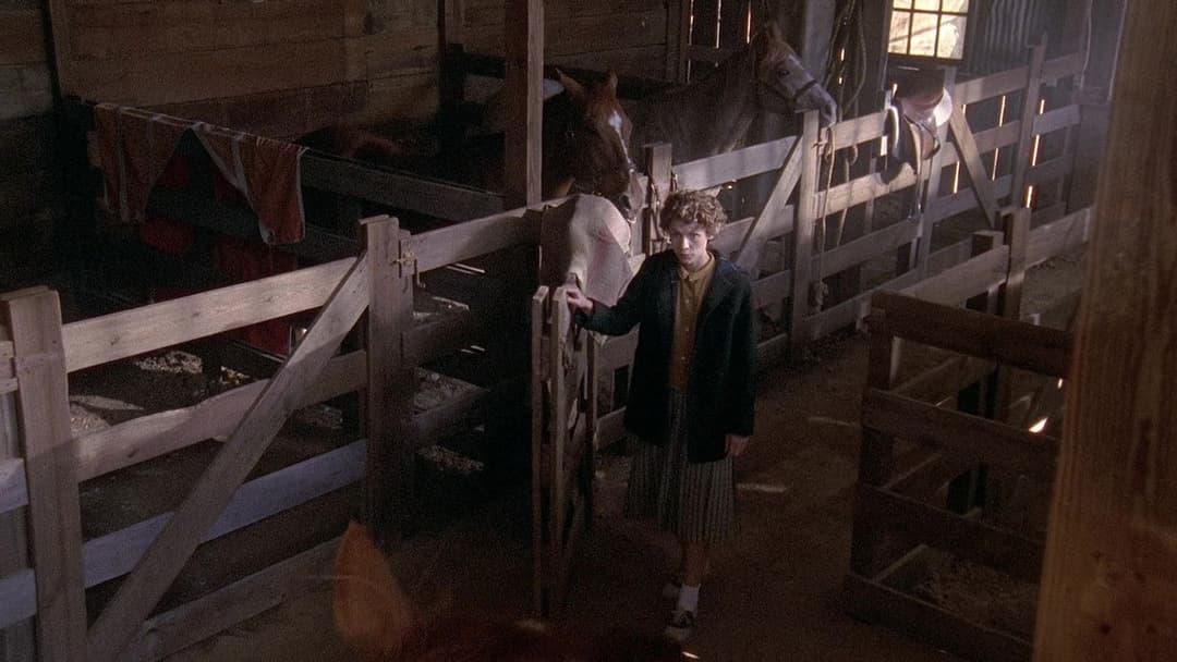 Du gehst nicht allein backdrop 7