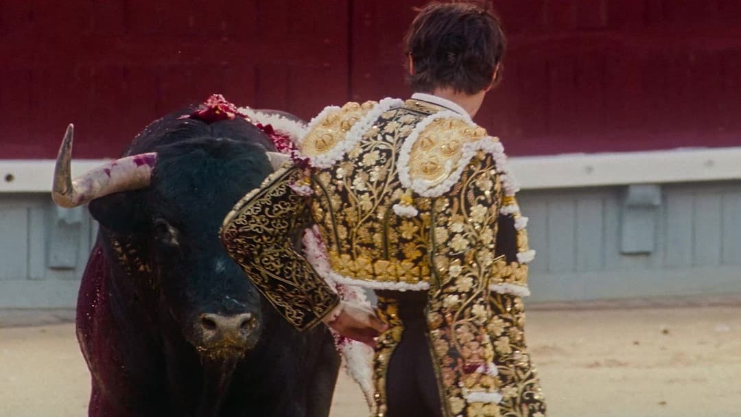 Вечори самоти backdrop 6