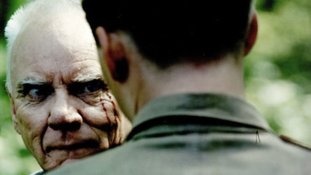 Евіленко backdrop 8