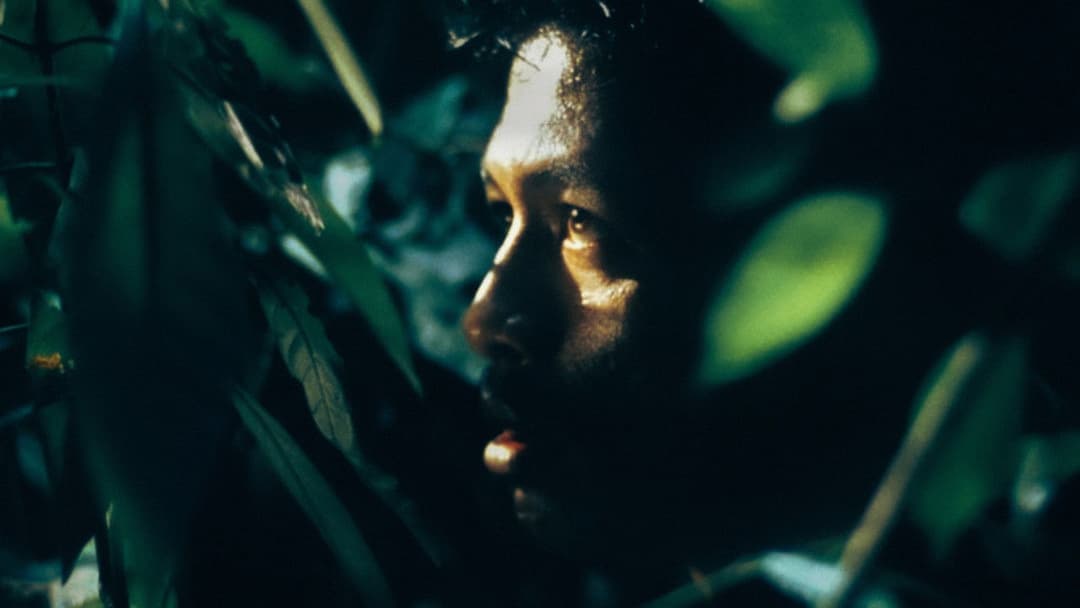 Tropical Malady backdrop 3