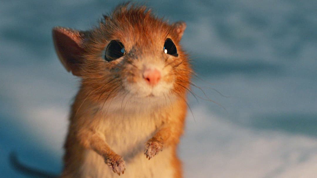 Ein Junge namens Weihnacht backdrop 16