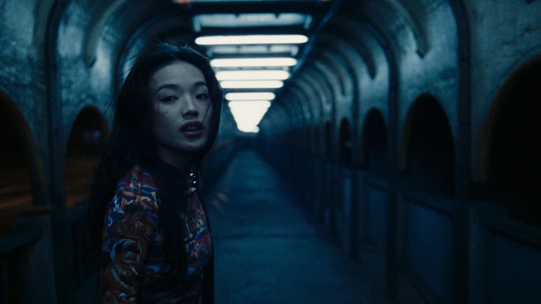 千禧曼波 backdrop 10