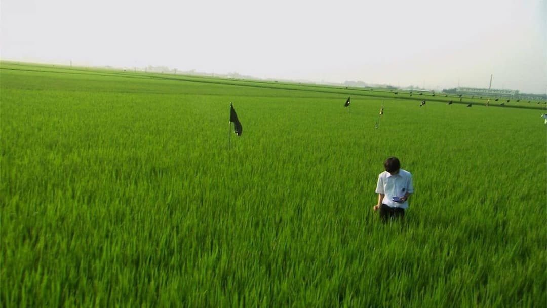 リリイ・シュシュのすべて backdrop 4