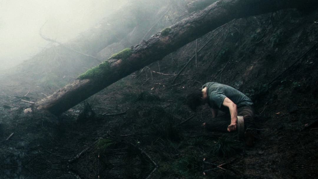 Antichrist backdrop 15