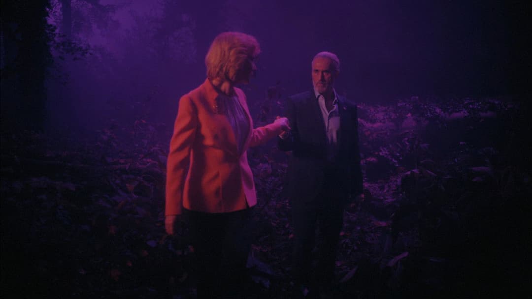 Чутки backdrop 18