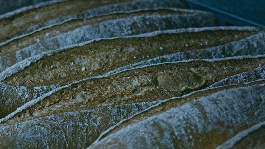 The Mechanics of Film backdrop 2