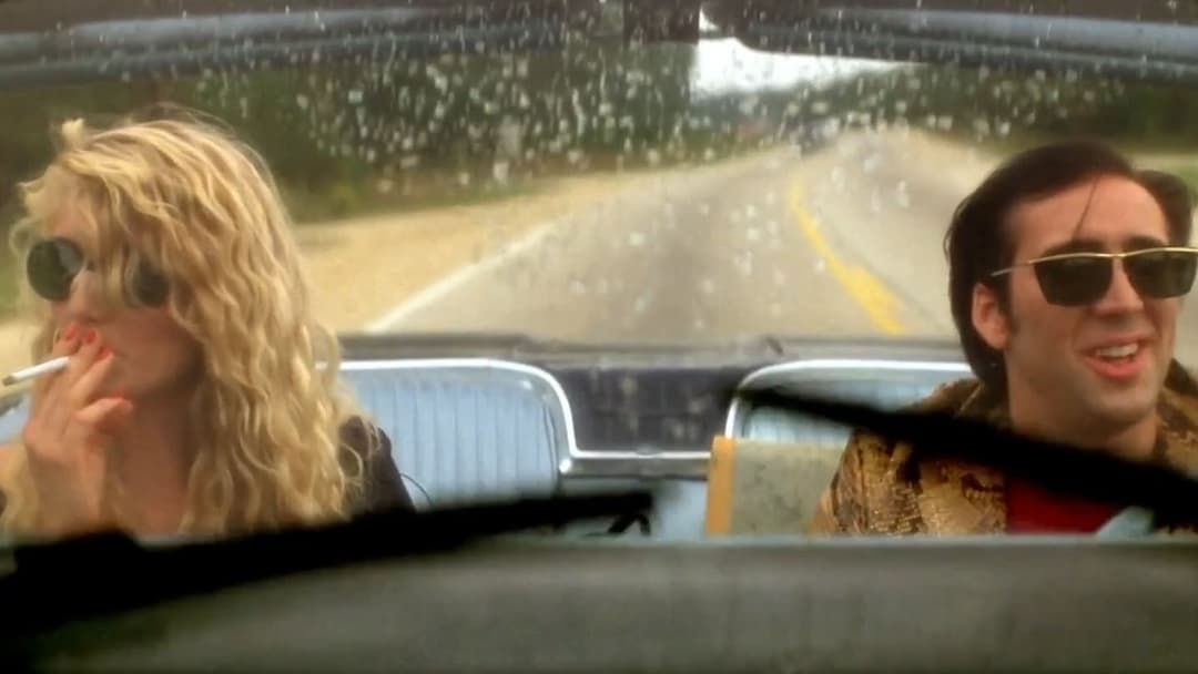 Wild at Heart backdrop 14