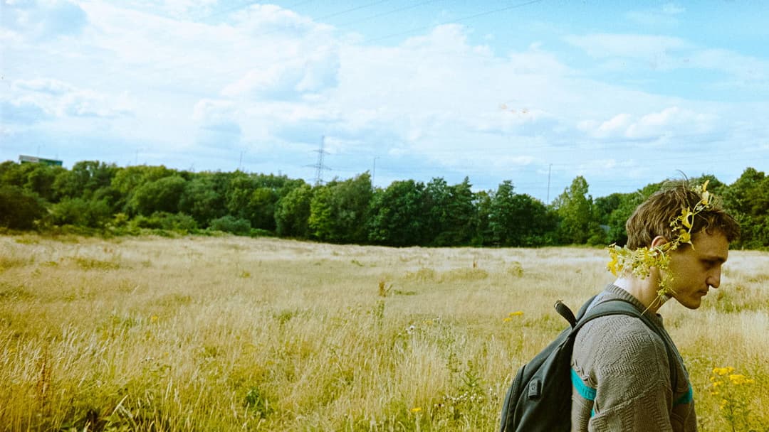 Птах backdrop 12