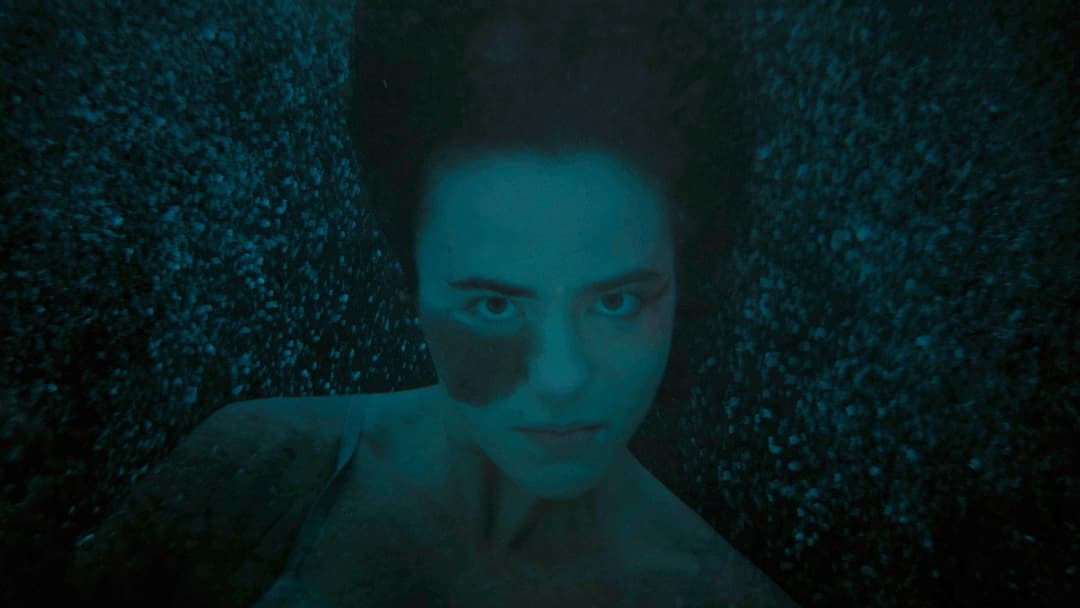 Influencer backdrop 4