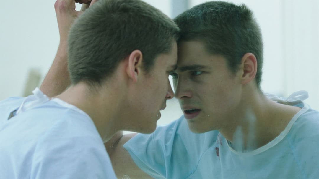 The Signal backdrop 3