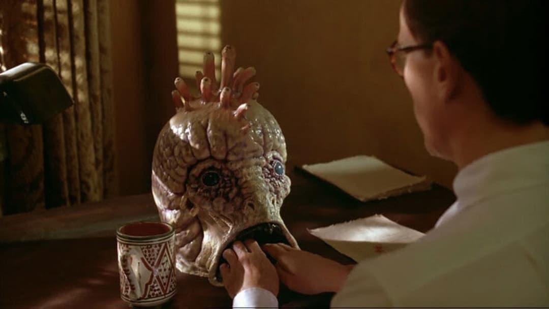 Обід голяка backdrop 15