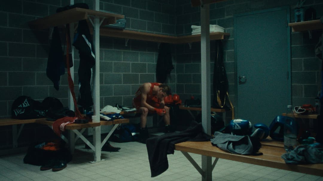 Wild Foxes backdrop 9