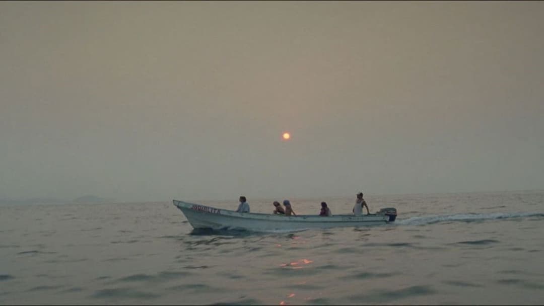 Y Tu Mama Tambien - Lust for Life backdrop 7