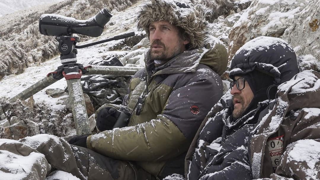 Der Schneeleopard backdrop 3