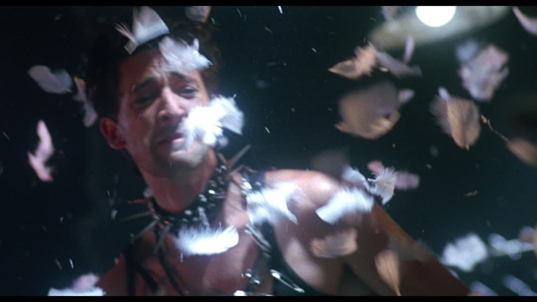 Summer of Sam backdrop 8