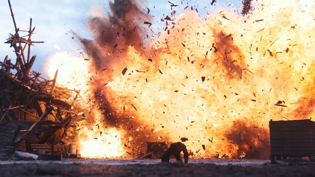 Planet der Affen - Survival backdrop 15