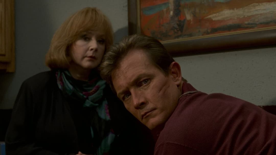 Факультет backdrop 11