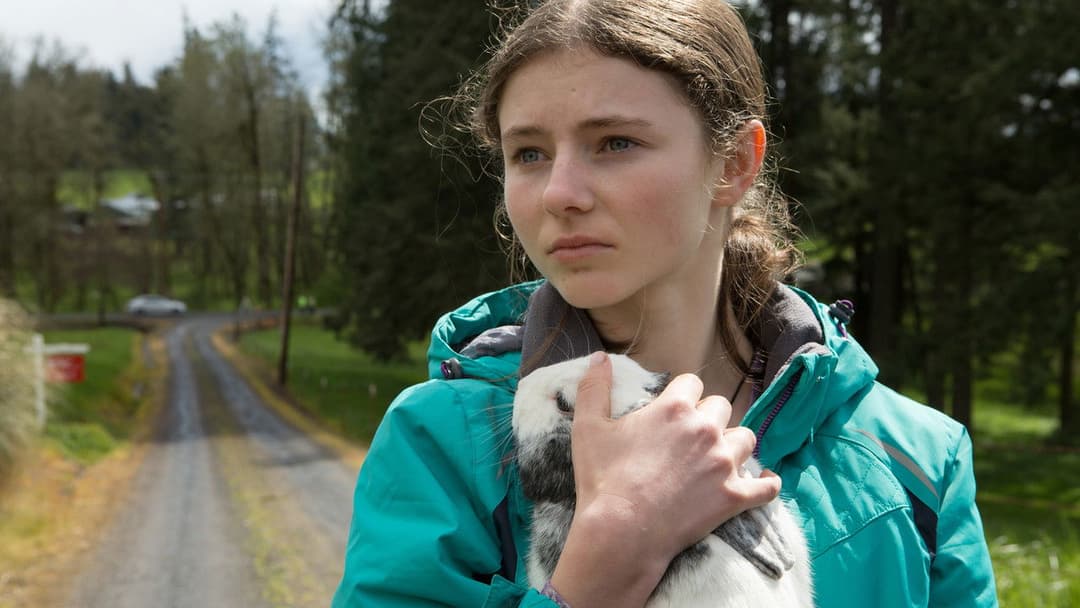 Не залишай слідів backdrop 7