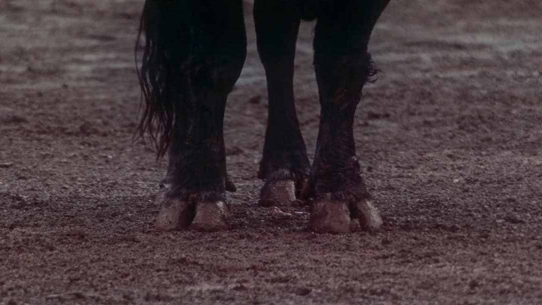 Вечори самоти backdrop 13