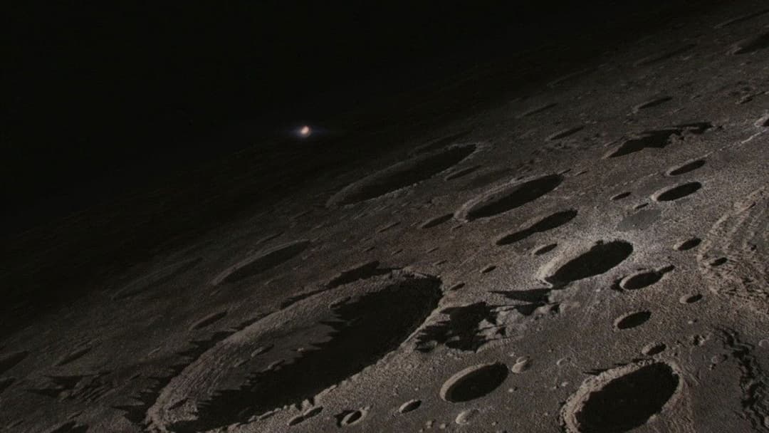 Sunshine backdrop 11