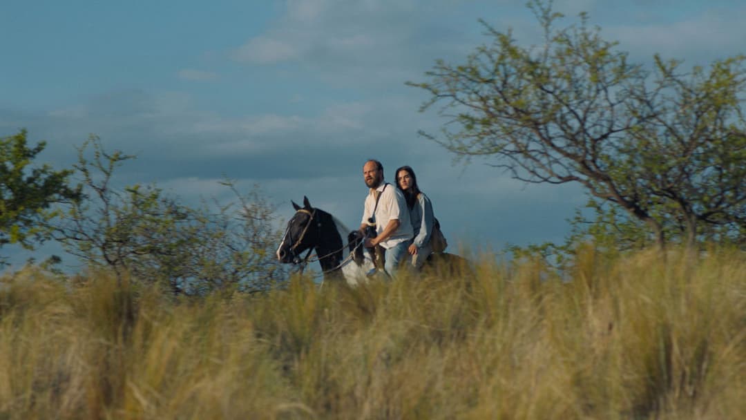 Die Missetäter backdrop 8