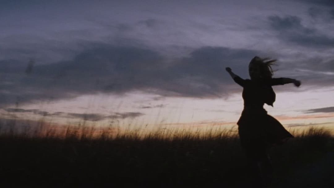 To the Wonder backdrop 15