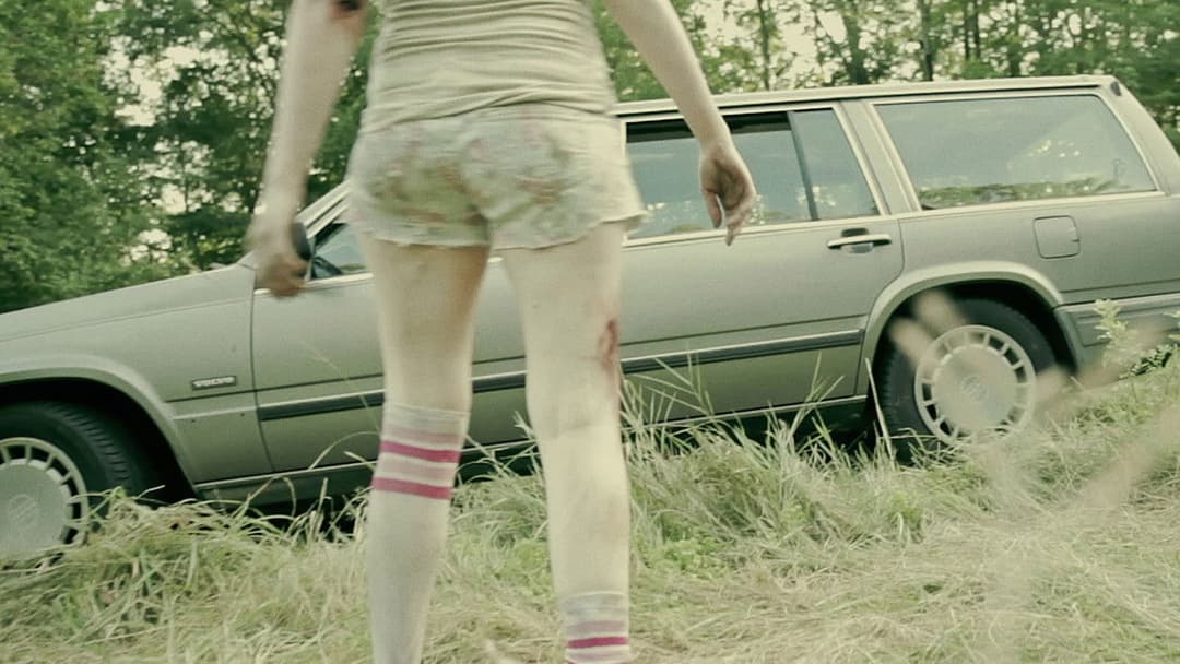 Ben & Mickey vs. The Dead backdrop 7