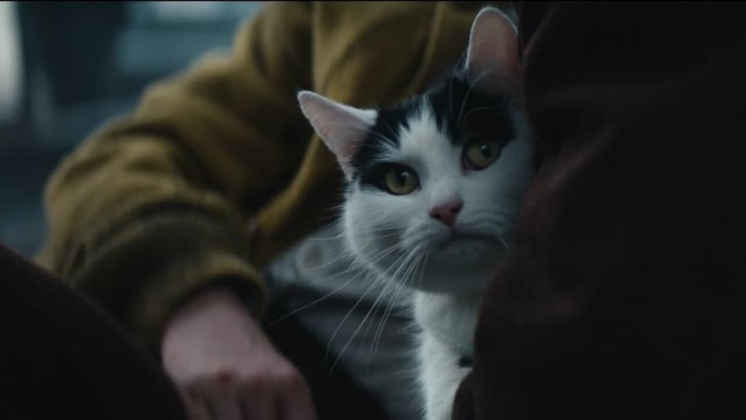 A Quiet Place: Tag Eins backdrop 10