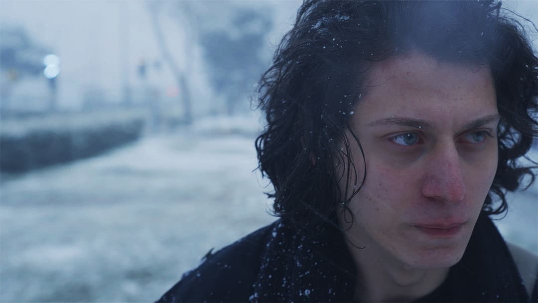 The Leaf Covered in Hoarfrost backdrop 6