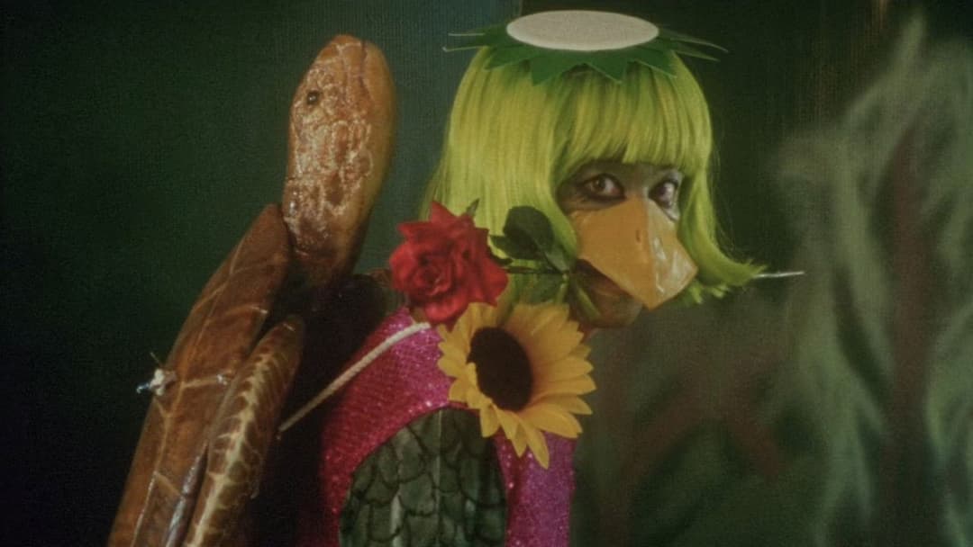 DEAD OR ALIVE 2 逃亡者 backdrop 4