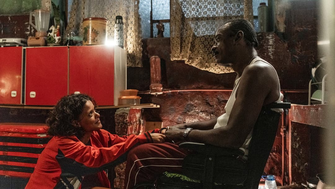 Corrida dos Bichos backdrop 2