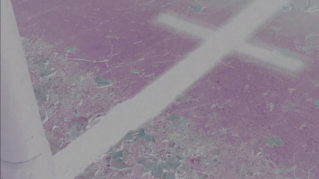 As If I Were Always Ten Minutes Away From Home backdrop 1