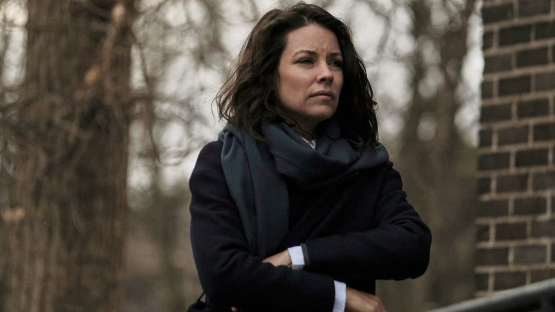 Трафiк backdrop 12