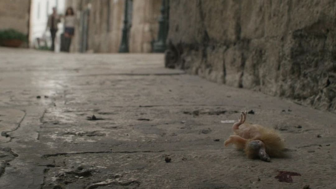 Spring - Love is a Monster backdrop 5