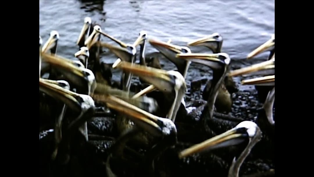 El Perú es un lugar para morir backdrop 3