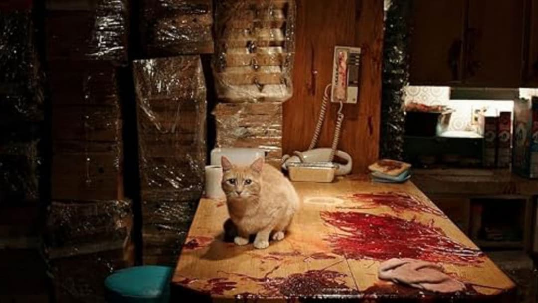 Голоси backdrop 7