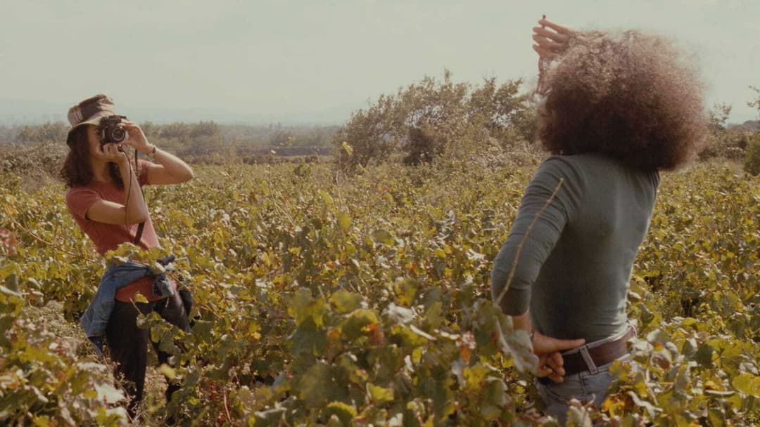 Herbstgeschichte backdrop 7