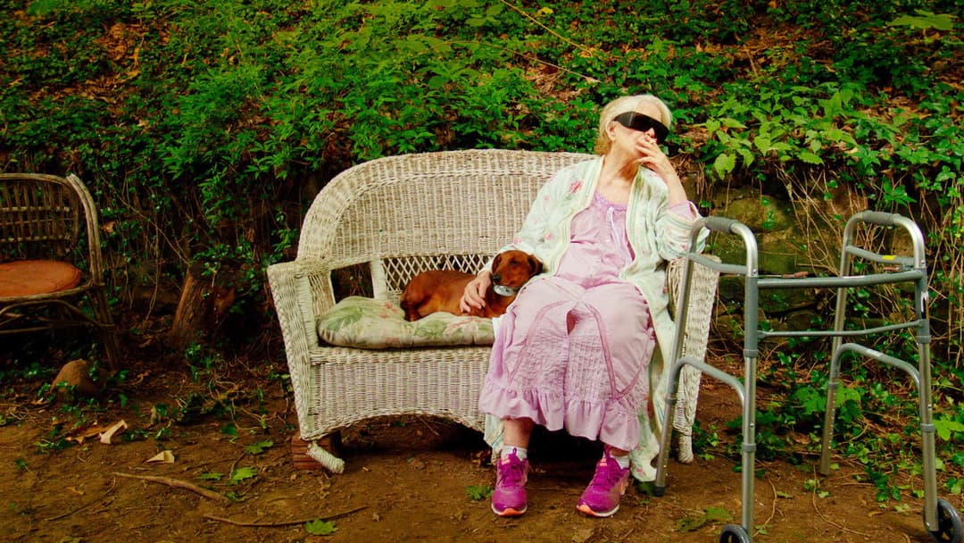 Wiener Dog backdrop 17