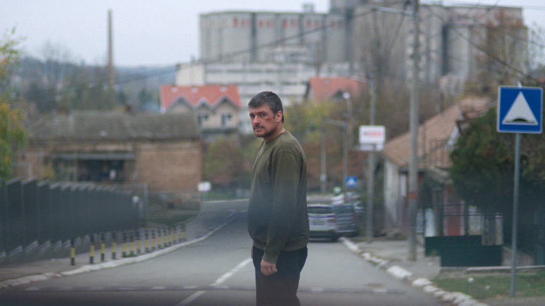 Yugo Florida backdrop 4