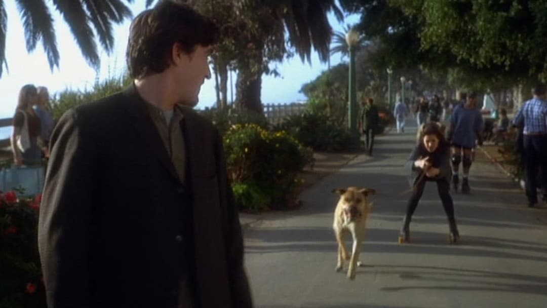 Lügen haben lange Beine backdrop 9