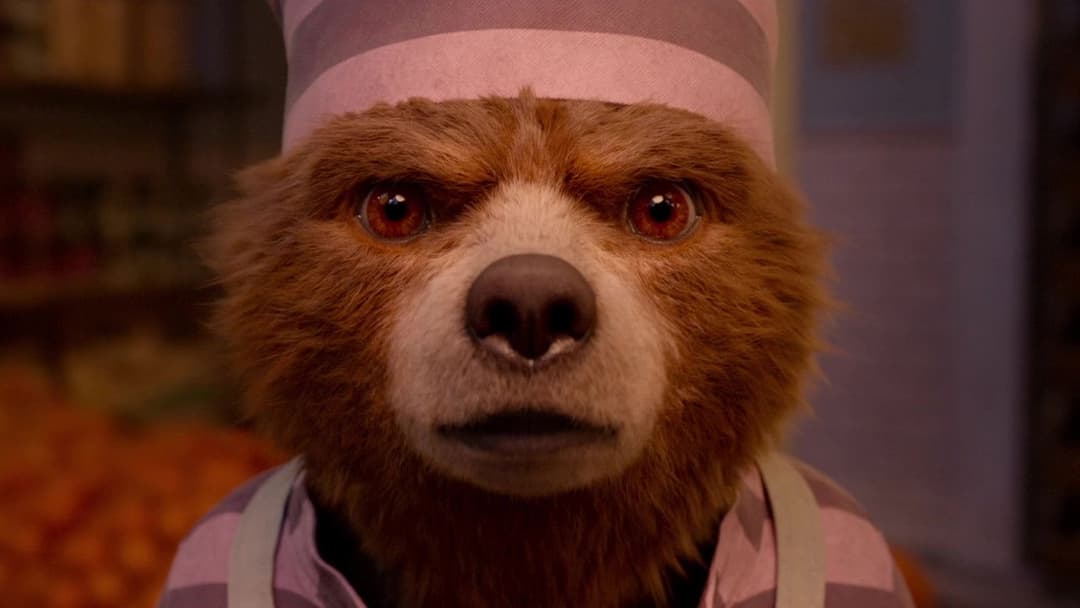 Paddington 2 backdrop 16