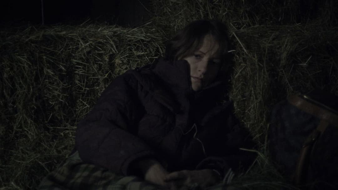 Час вовків backdrop 8