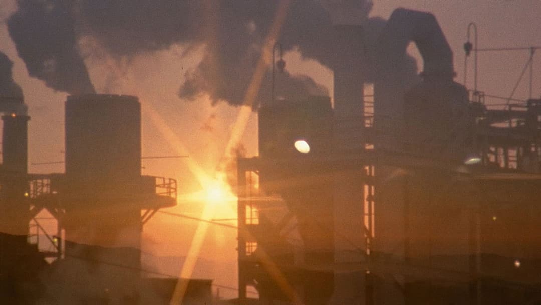 All the Real Girls backdrop 5